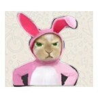 nenaa 🥰 (@yanela) Leaked OnlyFans 

 profile picture