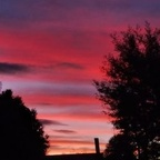 yarella OnlyFans Leaks 

 profile picture