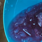 yayadiaz (Yaya_toros 05) free OnlyFans Leaked Pictures and Videos 

 profile picture