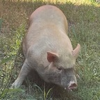 Onlyfans leaked yugrac1 

 profile picture