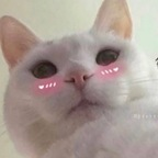 not active ♡ (@zaeann) Leaks OnlyFans 

 profile picture