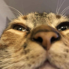 Download zoppa OnlyFans leaks for free 

 profile picture